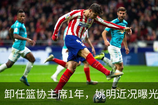 卸任篮协主席1年，姚明近况曝光，再次印证易建联的那句评价