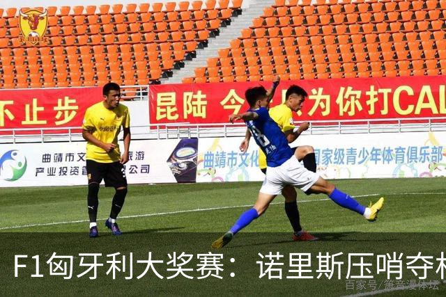 F1匈牙利大奖赛：诺里斯压哨夺杆
